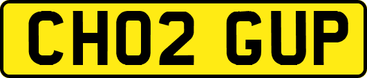 CH02GUP