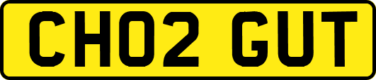CH02GUT