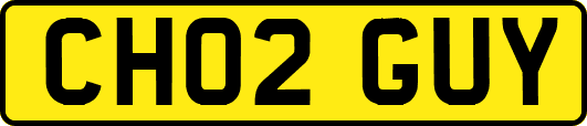 CH02GUY