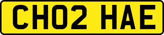CH02HAE