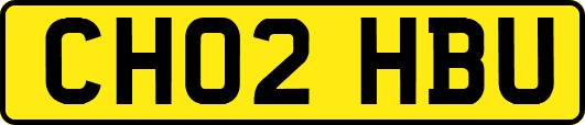 CH02HBU
