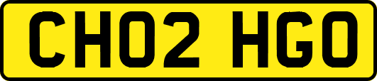 CH02HGO