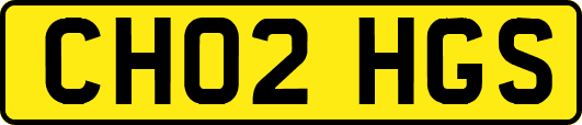 CH02HGS