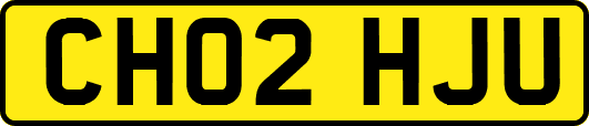 CH02HJU
