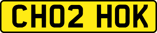 CH02HOK