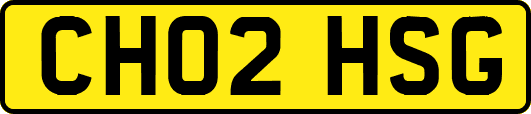CH02HSG