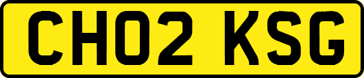 CH02KSG