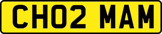 CH02MAM
