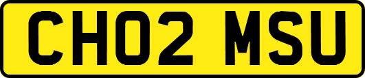 CH02MSU