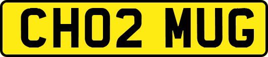 CH02MUG