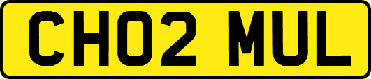 CH02MUL