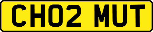 CH02MUT