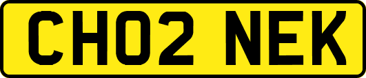 CH02NEK