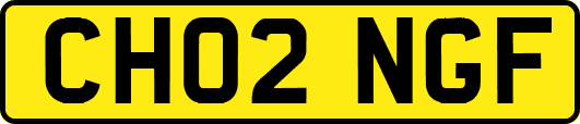 CH02NGF