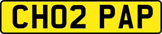 CH02PAP