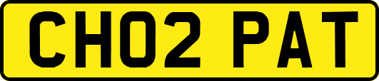 CH02PAT