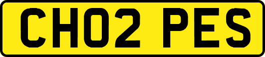 CH02PES
