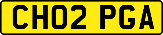 CH02PGA