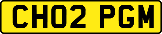 CH02PGM