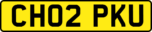 CH02PKU