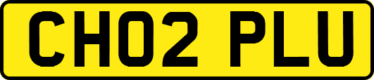 CH02PLU