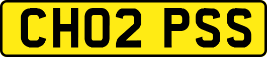CH02PSS