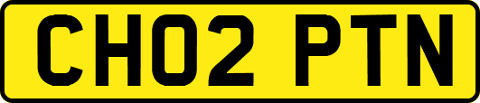 CH02PTN