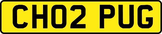 CH02PUG