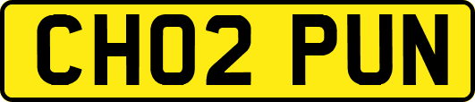 CH02PUN