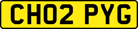 CH02PYG