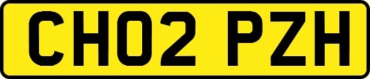 CH02PZH