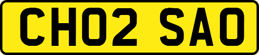 CH02SAO