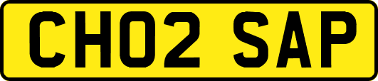 CH02SAP
