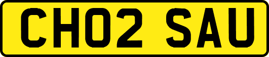 CH02SAU