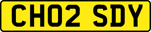 CH02SDY