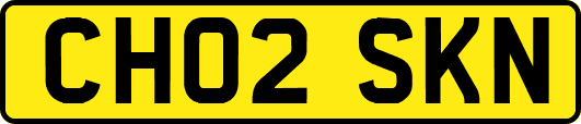 CH02SKN