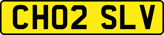 CH02SLV