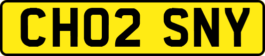CH02SNY
