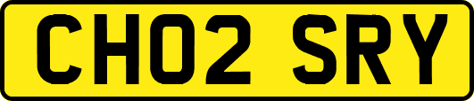 CH02SRY
