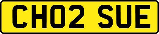 CH02SUE