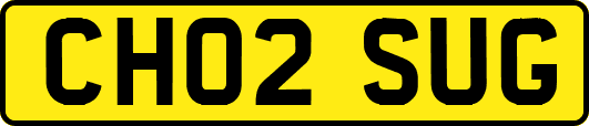 CH02SUG
