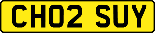 CH02SUY