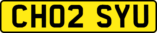 CH02SYU
