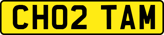 CH02TAM