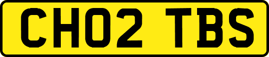 CH02TBS