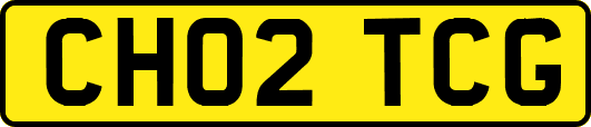 CH02TCG