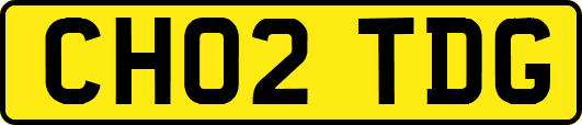 CH02TDG