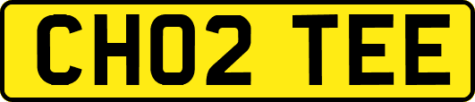 CH02TEE
