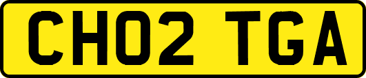 CH02TGA