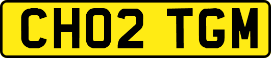 CH02TGM